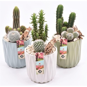 Keramiek sierpot klmix 13cm