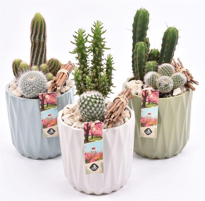 <h4>Keramiek sierpot klmix 13cm</h4>