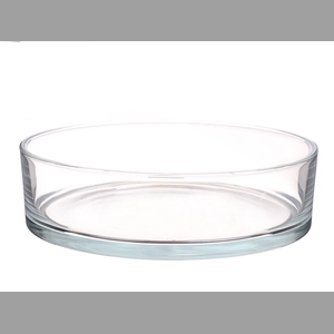 DF01-883522800 - Bowl Denta d29xh8 clear