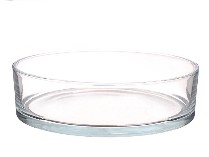 <h4>DF01-883522800 - Bowl Denta d29xh8 clear</h4>