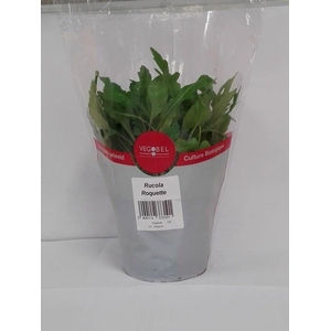 Rucola P12