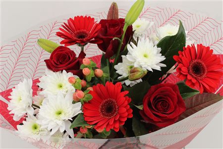 <h4>Boeket 3 Roos 3 Germini Rood</h4>