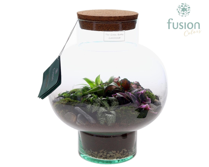 <h4>Green Bottle Laura Medium met Terrarium arrangement</h4>
