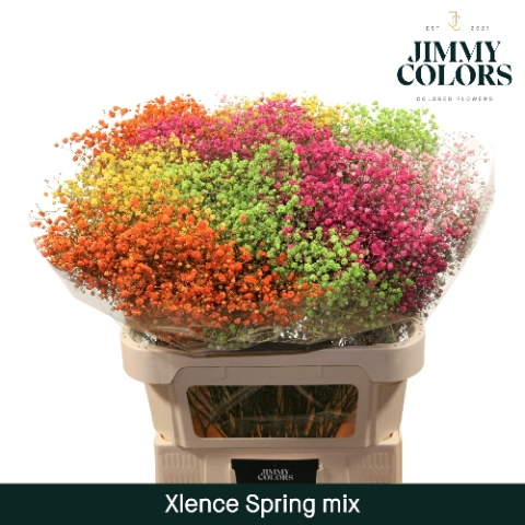 <h4>Gyps Xlence L80 Spring Mix</h4>