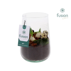 Green Bottle Deline Medium Pasen met Tulp