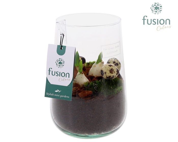 <h4>Green Bottle Deline Medium Pasen met Tulp</h4>