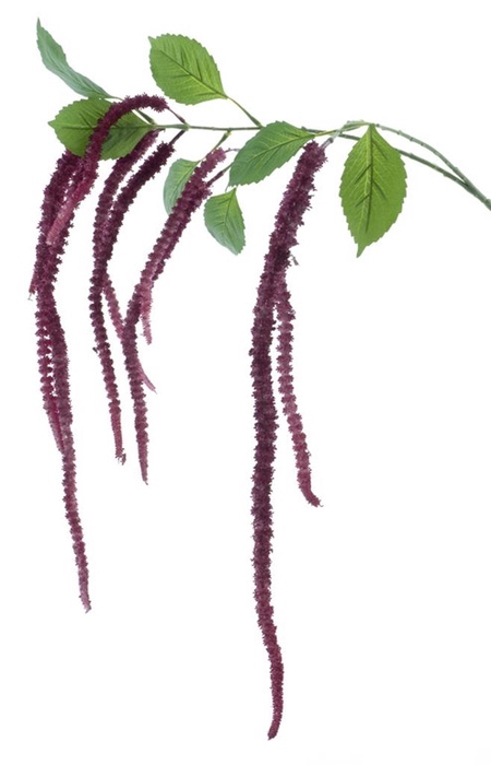 <h4>Amaranthus spray lucy purple 133cm</h4>