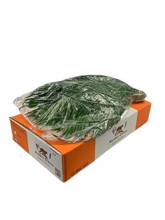 <h4>Phoenix 60 V P X 5</h4>