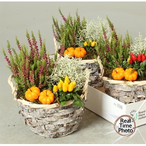 Garden baskets 20Ø 30cm