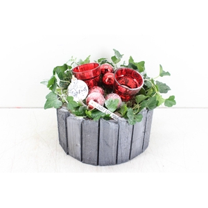 arr. PL Hedera - Hout pot grijs - r