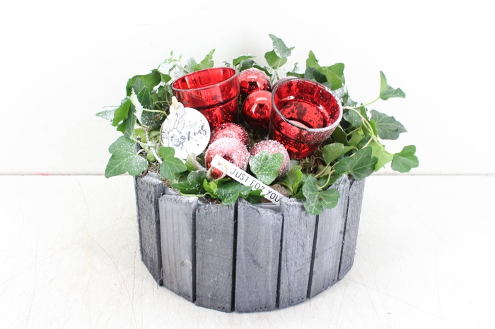 arr. PL Hedera - Hout pot grijs - r