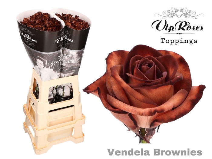 <h4>R GR VENDELA BROWNIES</h4>