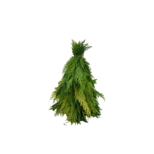 Kerstboom Conifeer 40cm