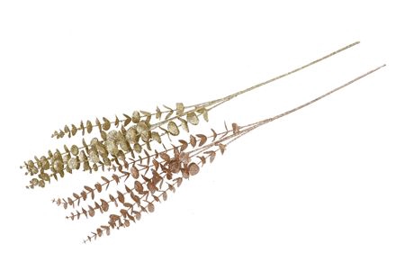 <h4>Pick Shine Eucalyptus Champagne/gold 80cm Ass Nm</h4>