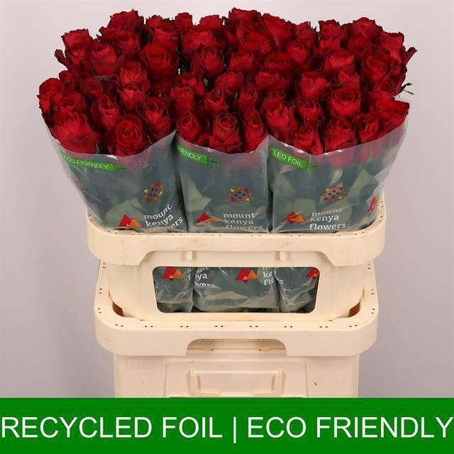 <h4>R GR MADAM RED</h4>