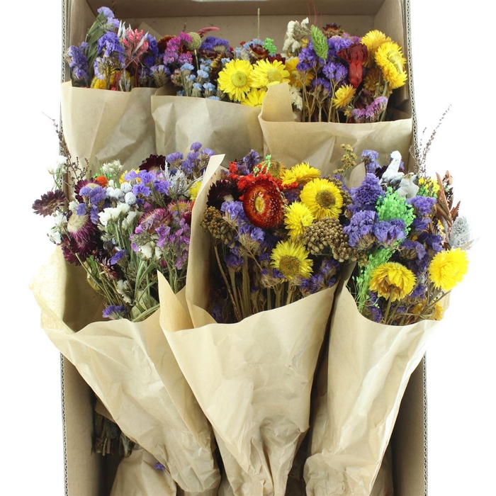 <h4>Dried Bqt Mix X6</h4>