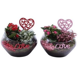 Valentine Arr. Indoor Glass Oblique UFO Vase Ø20cm 2PP