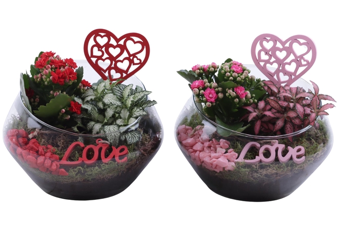 <h4>Valentine Arr. Indoor Glass Oblique UFO Vase Ø20cm 2PP</h4>