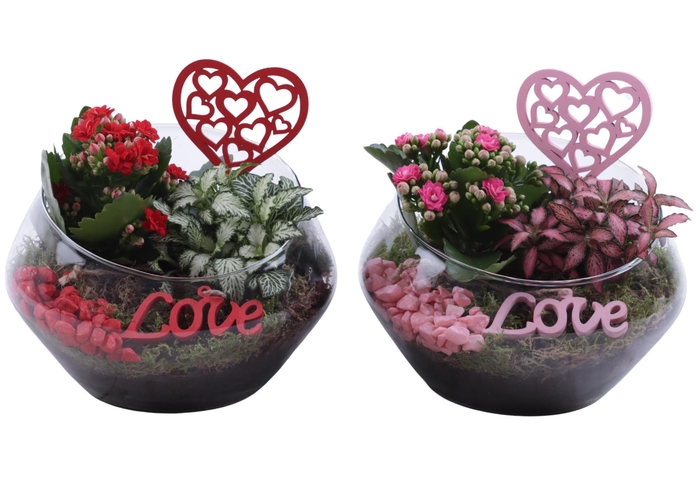 <h4>Valentine Arr. Indoor Glass Oblique UFO Vase Ø20cm 2PP</h4>