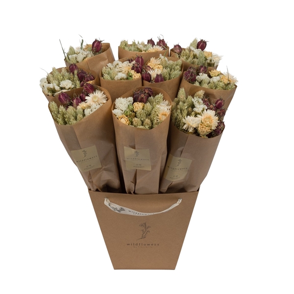 <h4>Droogbloemen-Market More 50cm - Natural</h4>