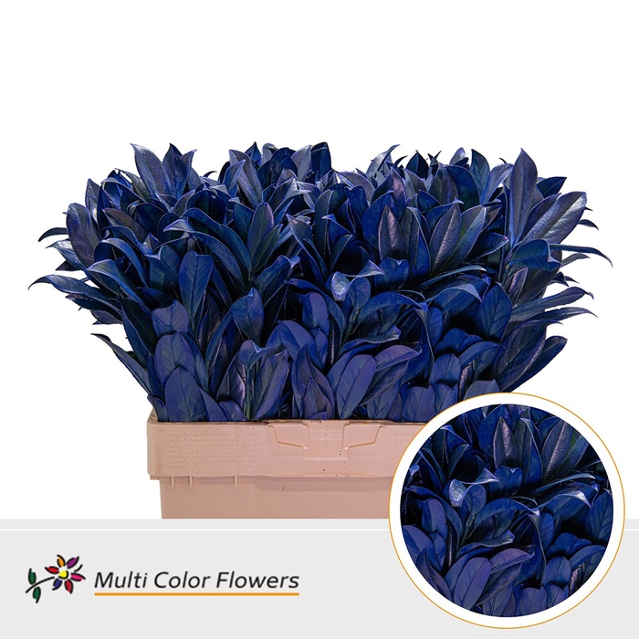 <h4>Laurier Frost Blauw Donker</h4>