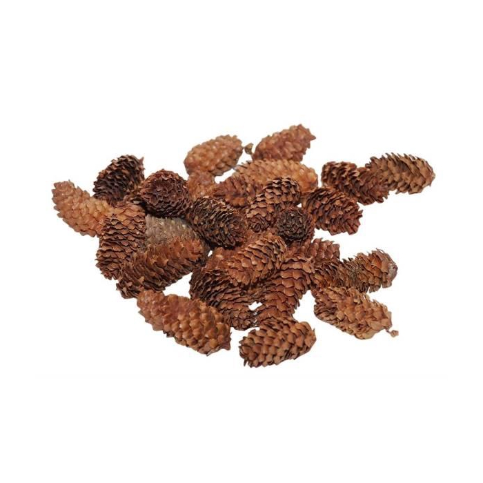 <h4>Pinecone Mini Spruce 180g L4</h4>