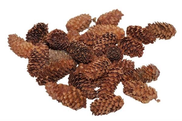 Pinecone Mini Spruce 180g L4
