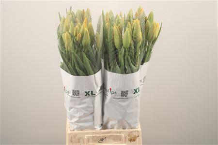 <h4>Tu Fr En Dordogne</h4>