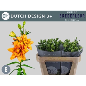 LI LA DUTCH DESIGN 3+