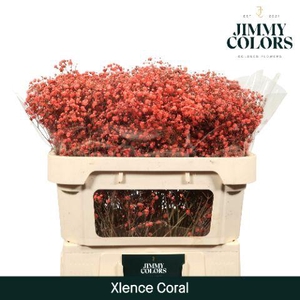 Gyps Xlence L70 Coral