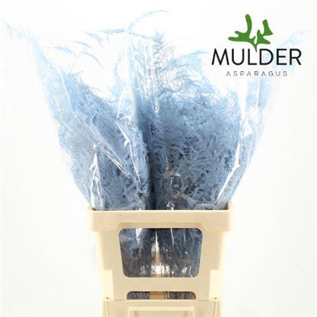 Asp Klb H% Extra Veren Light Blue