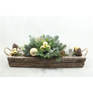 9388 HYA SCHORSBALK GOUD