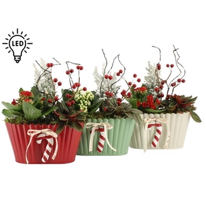 61821: X-mas arrangement