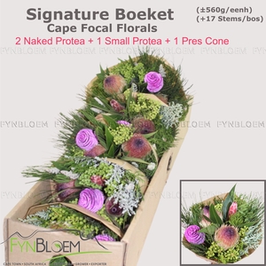PROTEA PER BOS