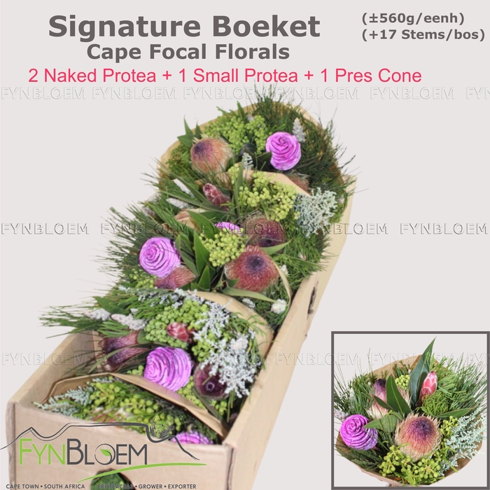 <h4>PROTEA PER BOS</h4>