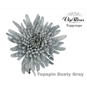 Chr g Paint  Dusty Grey