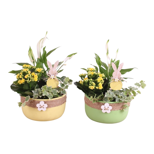 <h4>Easter Arr. Indoor Ceramic Bowl Round Rope Flower Ø18cm 3PP</h4>