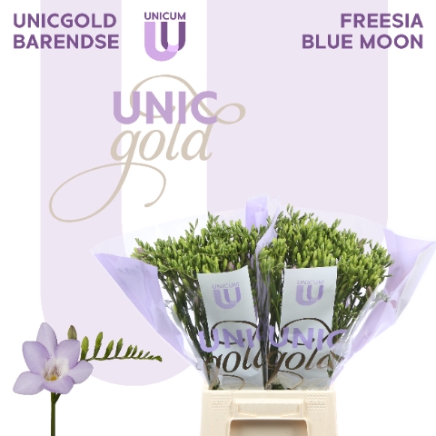 <h4>UG Barendse - Blue Moon 50</h4>