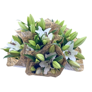 BQ Mono lilium Oriental 3 stems wit