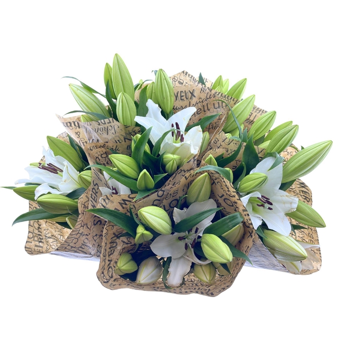 BQ Mono lilium Oriental 3 stems wit