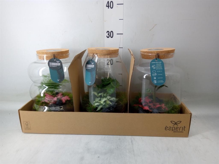 <h4>Arr.    Planten  H%</h4>