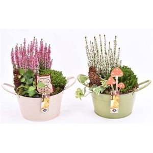 Zink schaal kleur mix 20 cm