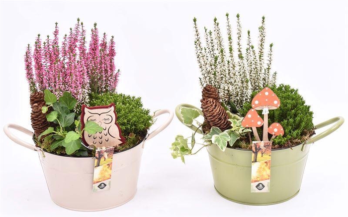 <h4>Zink schaal kleur mix 20 cm</h4>