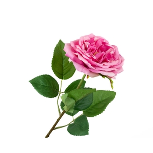 Rosa Wedding Pink