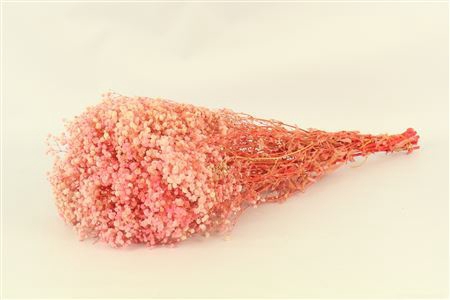 Pres Gyps Bq Light Pink Slv 240gr