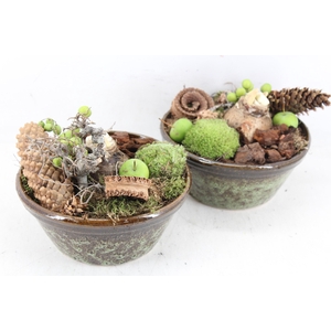 arr4 Amaryllis MB - Ker. schaal rand luxe 285/5 green