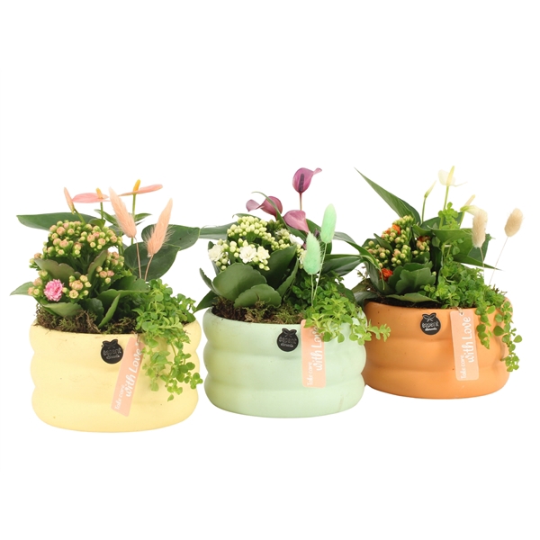 <h4>11525: Soft sculpture arrangement</h4>