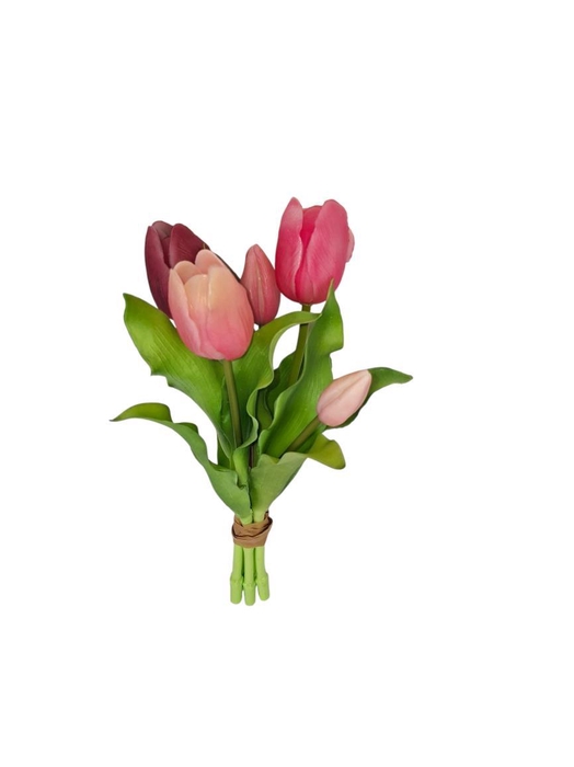 <h4>AF Tulip Bun x5 L31cm D.Pi mix</h4>