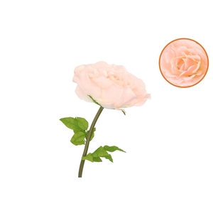 Silk Amazing Rose Beauty Peach Xl 40x110cm