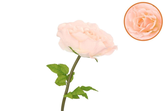 <h4>Silk Amazing Rose Beauty Peach Xl 40x110cm</h4>